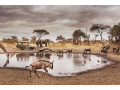 best-all-inclusive-kenya-beach-resorts-for-unforgettable-get-small-0