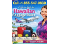 exclusive-help-for-hawaiian-baggage-rules-small-0