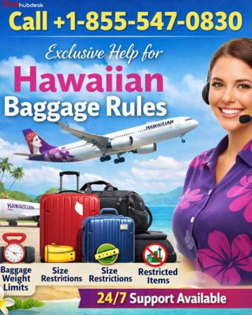 exclusive-help-for-hawaiian-baggage-rules-big-0