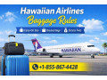 hawaiian-airlines-baggage-rules-small-0