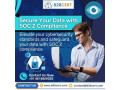 soc-2-consulting-in-texas-build-trust-secure-your-business-small-0