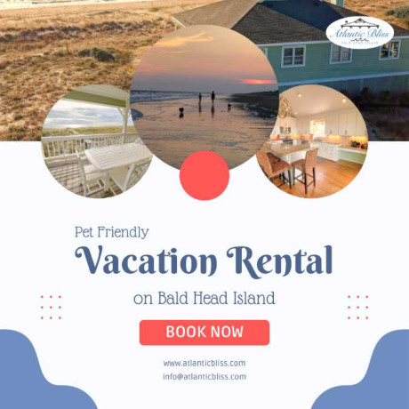 pet-friendly-vacation-rental-big-0
